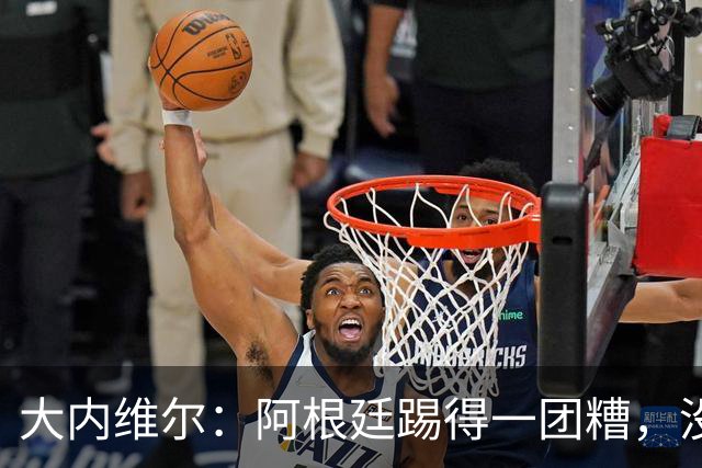 大内维尔：阿根廷踢得一团糟，没有梅西他们达不到这样的高度