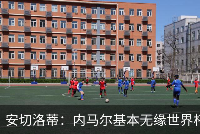 安切洛蒂：内马尔基本无缘世界杯首战 右小腿仍旧有肿胀