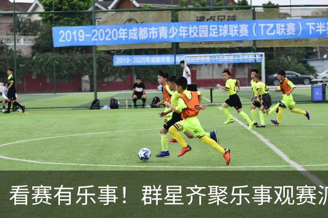 看赛有乐事！群星齐聚乐事观赛派对，与球迷共迎FIFA世界杯冠军时刻